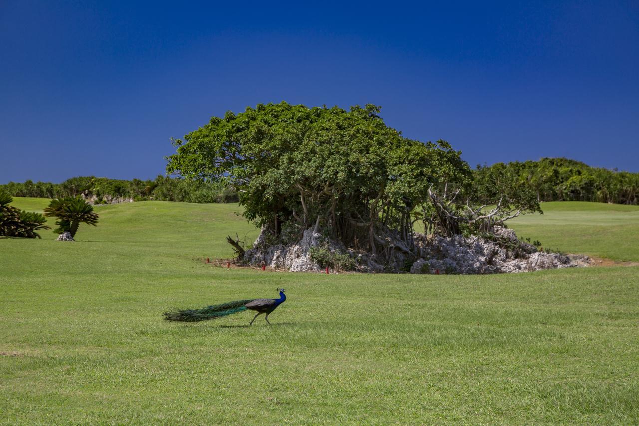 Villa Vorla Miyakojima  Экстерьер фото